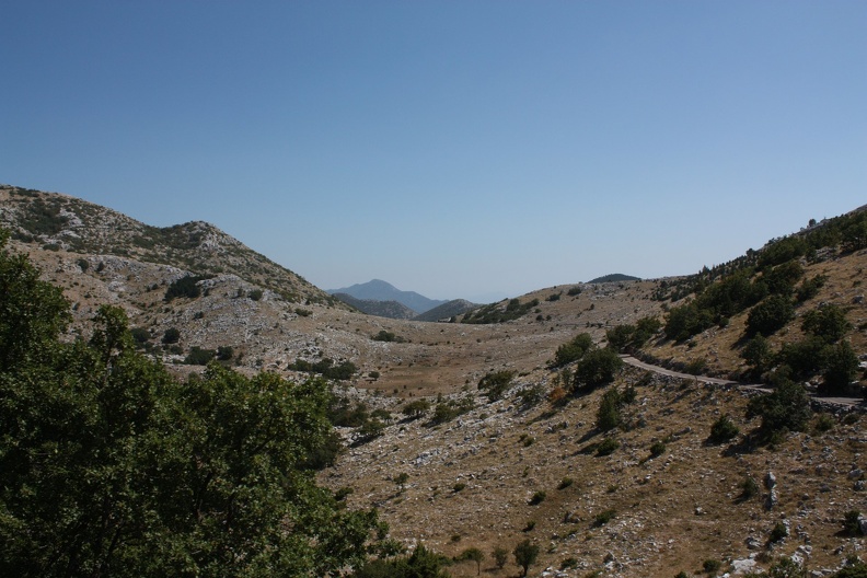 IMG_7346.JPG