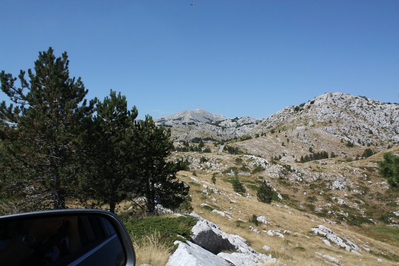 IMG_7361.JPG