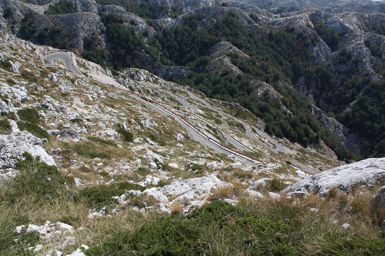 IMG_7373.JPG