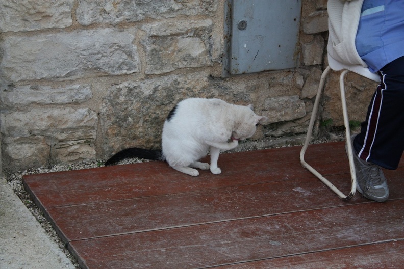 IMG_8059.JPG