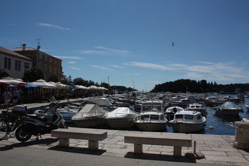IMG_7608.JPG