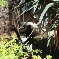 IMG_7610.JPG