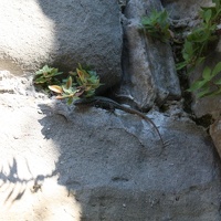 IMG_8624.JPG