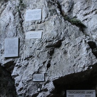 IMG_8649.JPG