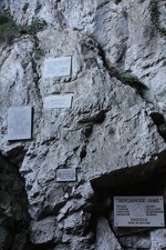 IMG_8649.JPG