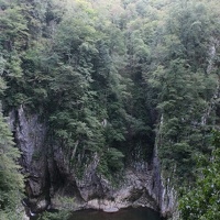 IMG_8656.JPG