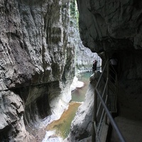 IMG_8659.JPG