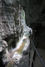 IMG_8659.JPG