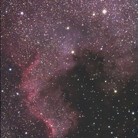ngc7000