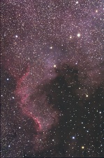 ngc7000