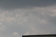 IMG 8734