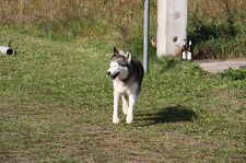 IMG 4043