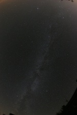 IMG 0573