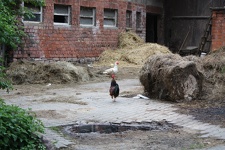 IMG_5378.JPG