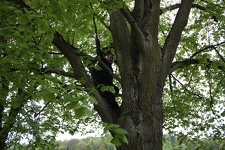 IMG_5396.JPG