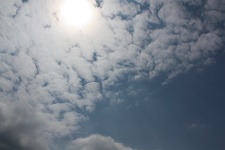 IMG_5502.JPG