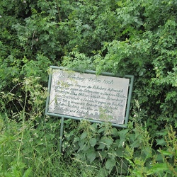 STT 2010