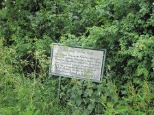 IMG_0002.JPG