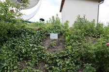 IMG_5899.JPG