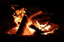 IMG 4612
