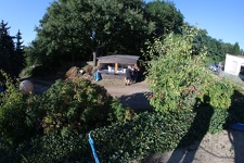 IMG 0803