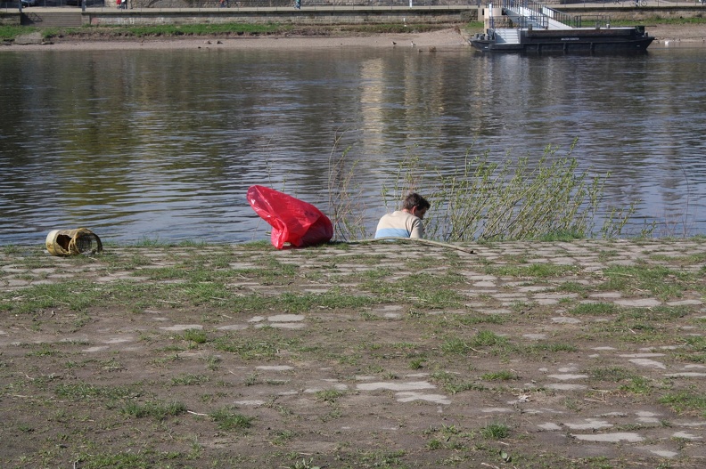 IMG 0660