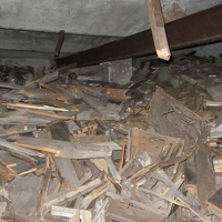 IMG 0079