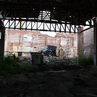 IMG 1355