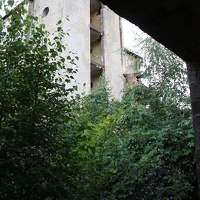 IMG 1367