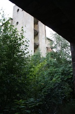 IMG 1367