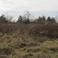 IMG 7041