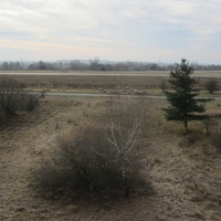 IMG 7050