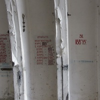 IMG 7054