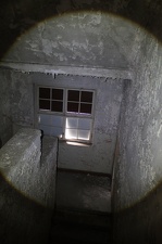IMG 1227