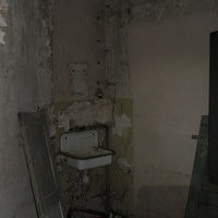IMG 7421
