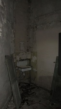 IMG 7421
