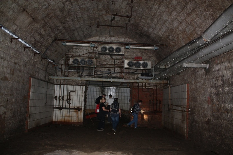 IMG 1133