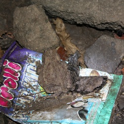 ehem.-Feldschloesschen-Kuehlkeller-GC2Y65N