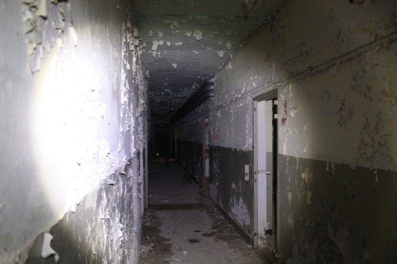 08a019