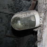 IMG_5060.JPG