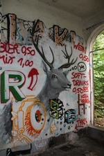 IMG_9359.JPG