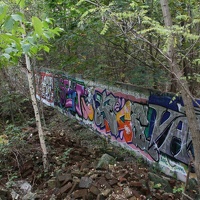 IMG_9378.JPG