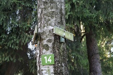 IMG_0670.JPG