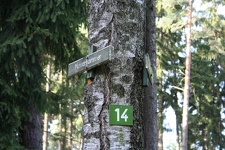 IMG_0671.JPG