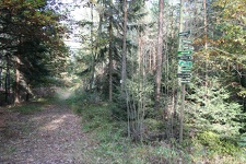 IMG_0672.JPG