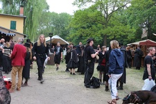 IMG 4718