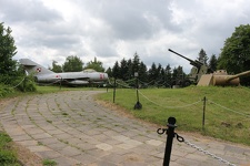 IMG 4917