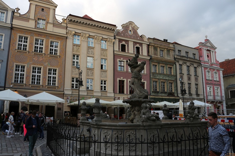 IMG 4957