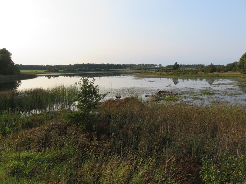 scandinavia2059-IMG 1022