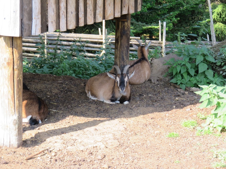 scandinavia2068-IMG 1028